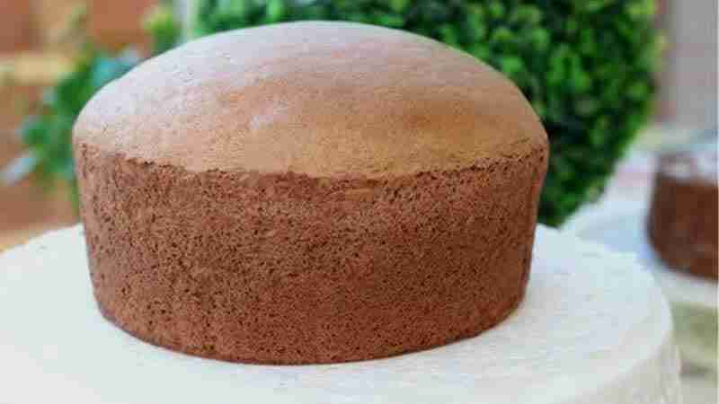 Chocolate Jiggly Cake Recipe