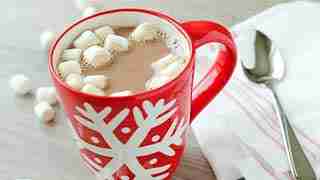 Hershey's Hot Chocolate Recipe For One