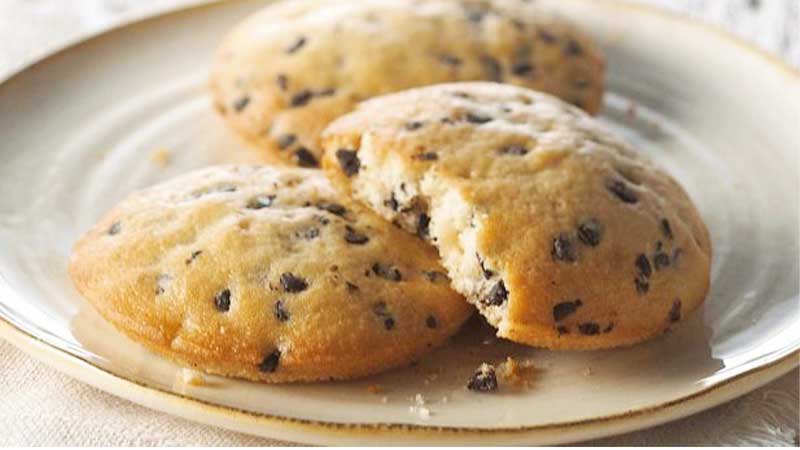 Panera Chocolate Chip Muffie Recipe