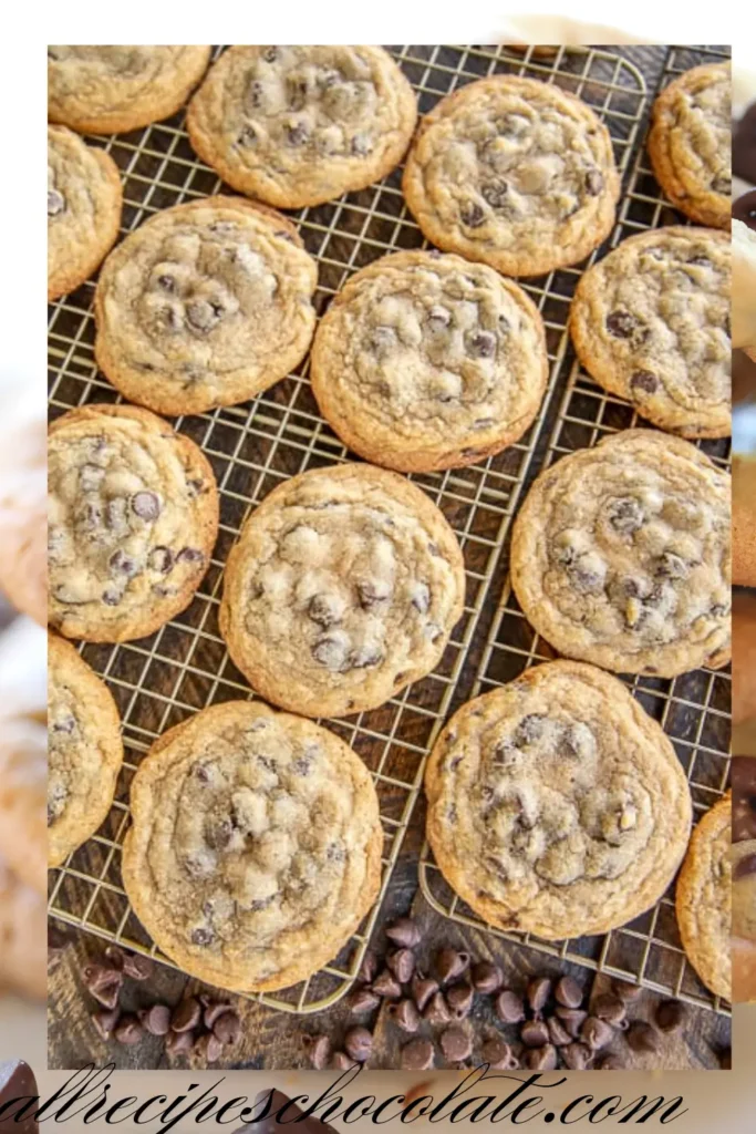 Ritz Carlton Chocolate Chip Cookie Recipe 1 |