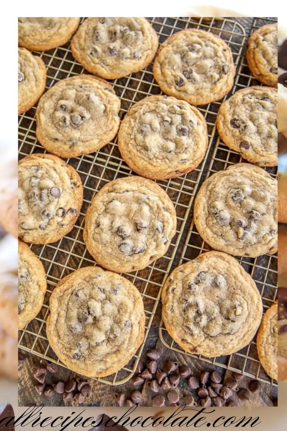 ­­­­­­­­Ritz Carlton Chocolate Chip Cookie Recipe