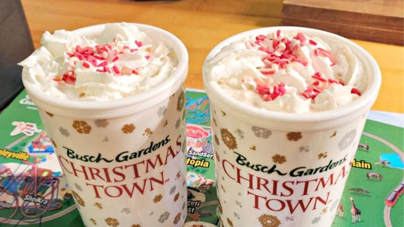 Busch Gardens Hot Chocolate Recipe