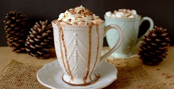 French Vanilla Hot Chocolate Mix