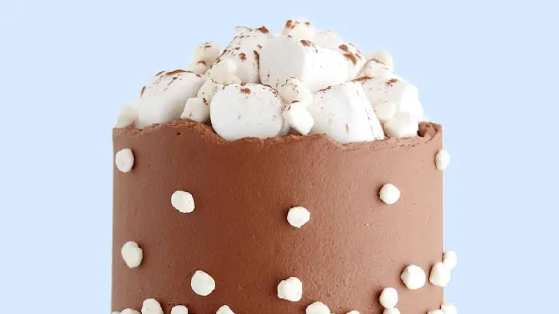 Hot Chocolate Cake Recipe