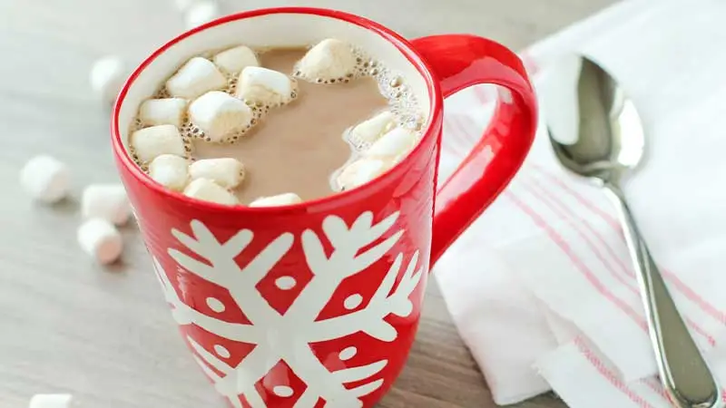 Hershey's Cocoa Hot Chocolate Recipe