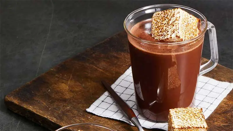 Williams Sonoma Hot Chocolate Recipe