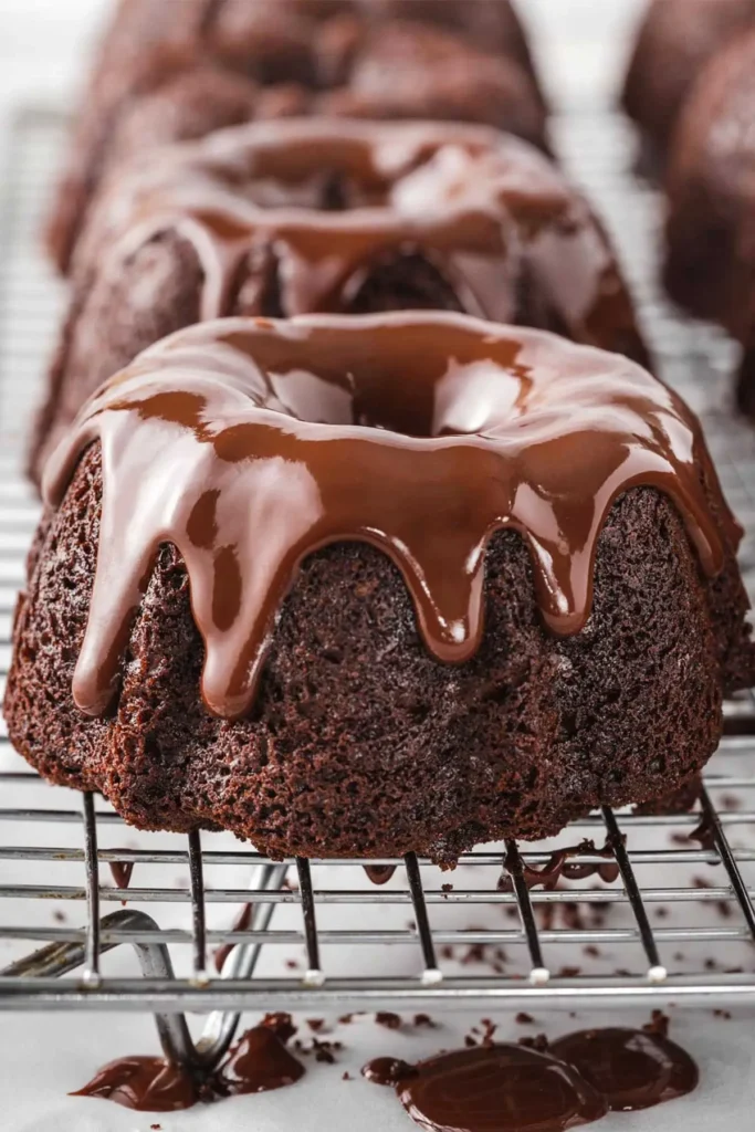 Chocolate Mini Bundt Cake Recipe v |