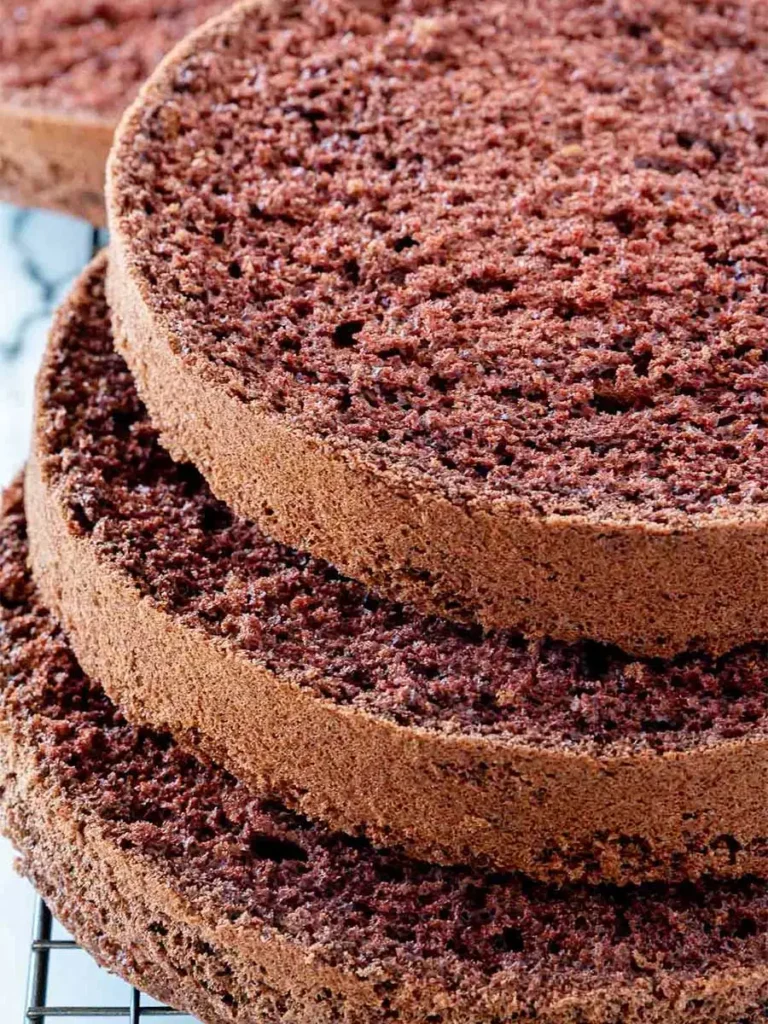 Chocolate Sponge Cake Recipe