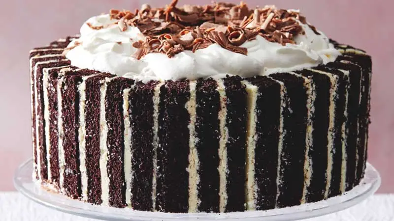 Chocolate Ice Cream Cake Recipe