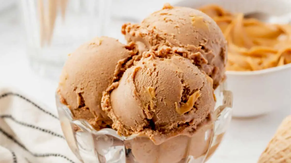 Chocolate Peanut Butter Ice Cream Recipe