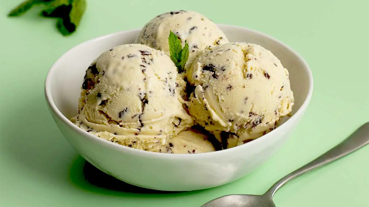 Mint Chocolate Chip Ice Cream Recipe