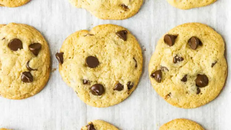 Dairy Free Chocolate Chip Cookie Recipe |