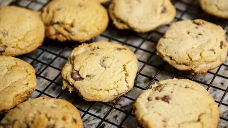 Mouthwatering Chocolate Chunk Cookies