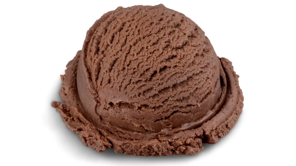 Vegan Chocolate Ice Cream Recipe