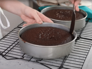 Divide the batter evenly between the prepared pans. Bake for 35–40 minutes, or until a toothpick inserted in the center comes out with moist crumbs.