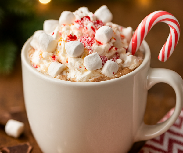 Busch Gardens Hot Chocolate