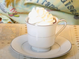 Serve & Enjoy Pour hot chocolate into mugs, top with whipped cream, and garnish with cocoa powder or grated chocolate if desired.